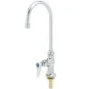 T&S Brass And Bronze Works T&S B-0305-VR-WS Deck Mounted Pantry Faucet With 5 3/4" Gooseneck Spout, 1.5 GPM Aerator, Eterna Cartridge, And Lever Handle -T&S Brass Shop 1624338