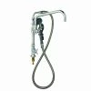 T&S Brass And Bronze Works T&S BF-0176 Deck Mounted Pre-Rinse Faucet With Single Inlet, Angled Spray Valve, 4-Arm Handles, 60" Hose, 12" Add-On Faucet, And 90 Degree Swivel Adapter