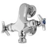 T&S Brass And Bronze Works T&S B-0810 Wall Mount Faucet With 3 1/8" Vertical Spout, 2.2 GPM Rosespray Outlet, And Adjustable 3" Centers -T&S Brass Shop 2104253