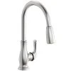 Elkay LKEC2041LS Explore Deck Mount Lustrous Steel Kitchen Faucet With Pull-Down Spray Head, Forward Lever Handle, And Deck Plate -T&S Brass Shop 2165541