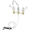 T&S Brass And Bronze Works T&S B-2366 Vandal Resistant Easy Install Deck Mount Faucet With 8" Centers, 9" Swing Nozzle, 4" Wrist Action Handles, Eterna Cartridges, And Sidespray 1 T&S Brass And Bronze Works T&S B-2366 Vandal Resistant Easy Install Deck Mount Faucet With 8" Centers, 9" Swing Nozzle, 4" Wrist Action Handles, Eterna Cartridges, And Sidespray -T&S Brass Shop 2257654