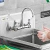 Waterloo Wall Mount Faucet With 6" Gooseneck Spout And 8" Centers